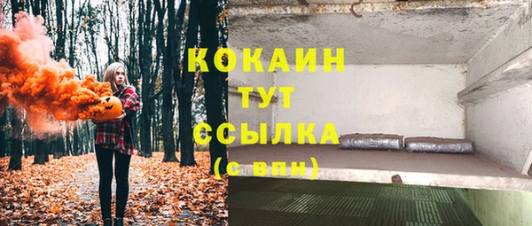 гидропоника Гусев