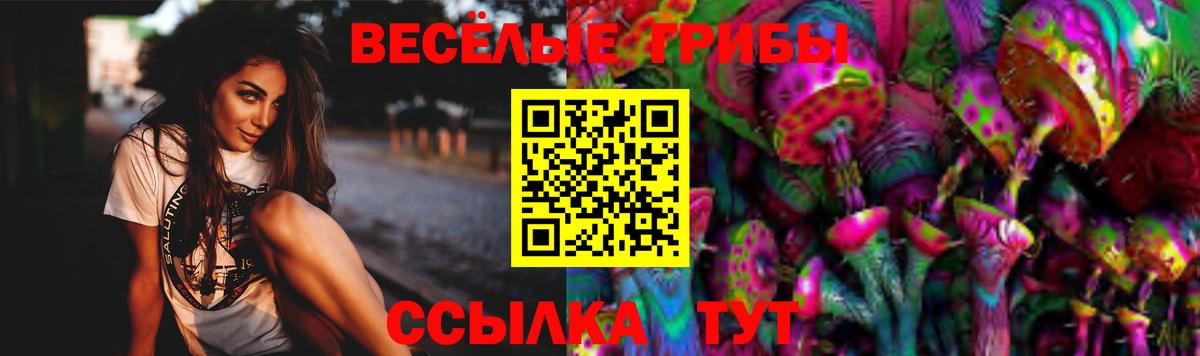 Псилоцибиновые грибы GOLDEN TEACHER  даркнет сайт  Вход с VPN  Верхняя Пышма  Галлюциногенные грибы ЛСД 